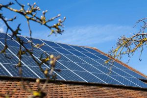 Read more about the article Can Shade Damage My Solar Panels?